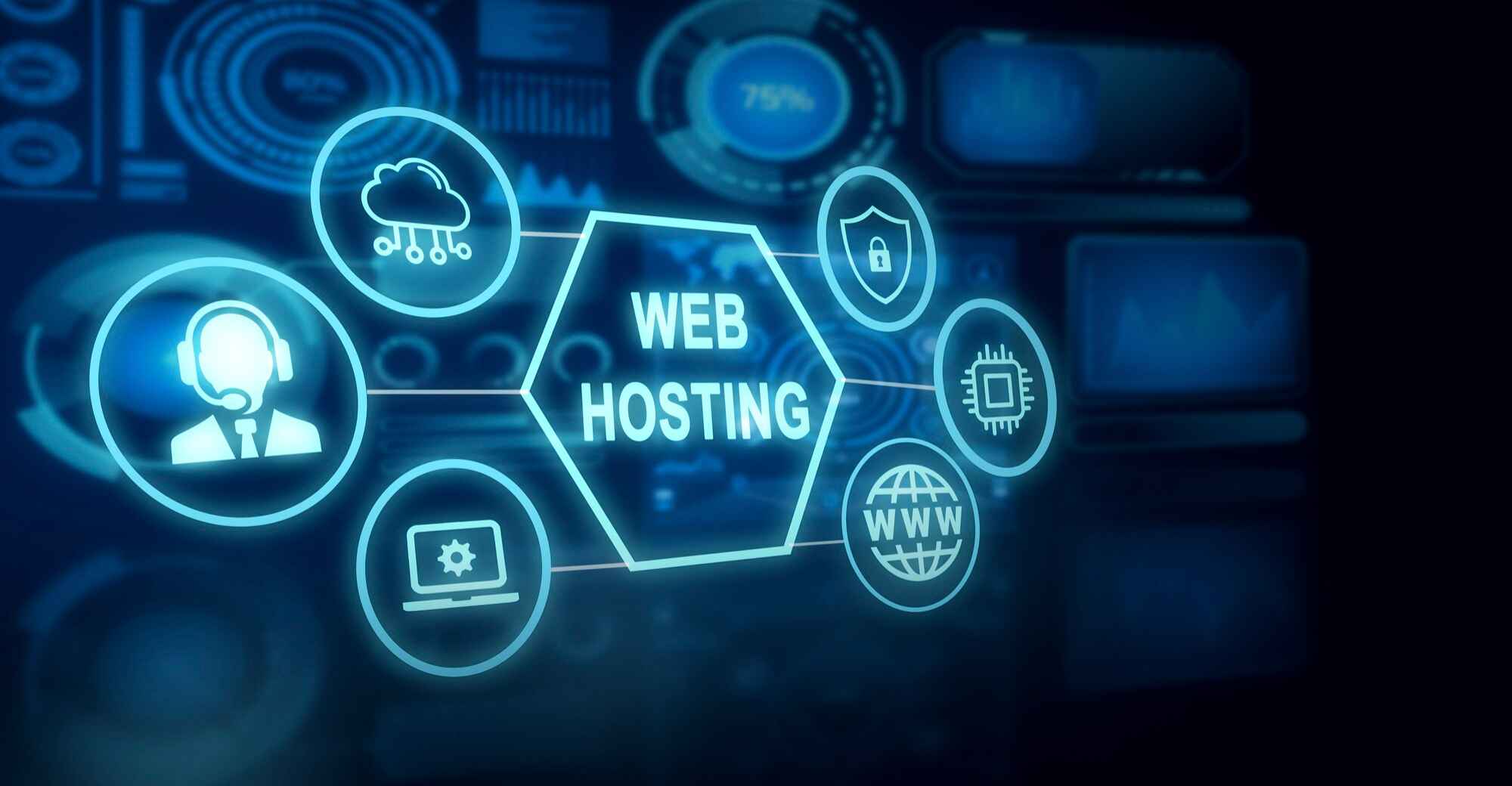 Budget-friendly hosting options for business website.